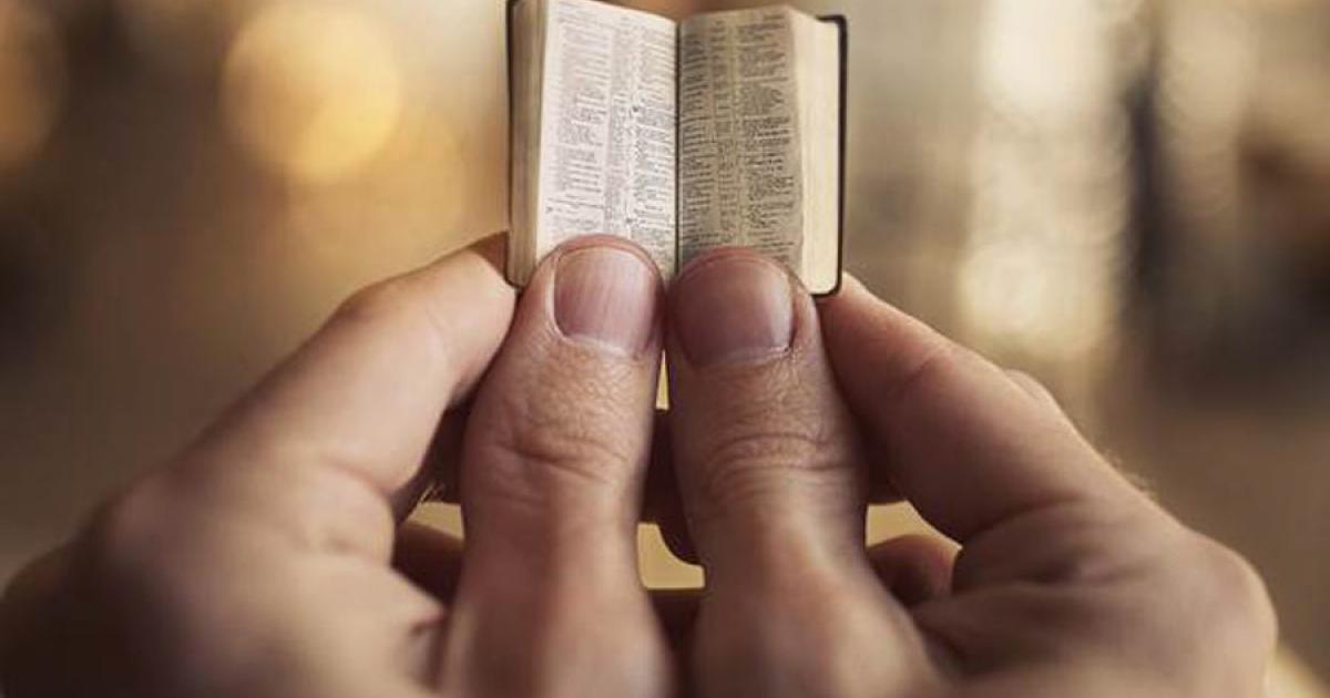 Tiny bible (representational image). Source: Kevin Carden / Adobe Stock