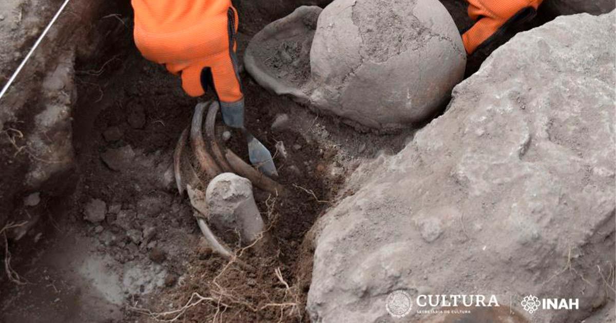 Modified skulls unearthed at La Ferrería Archaeological Zone in Durango State, Mexico. Source:   INAH National Institute of Anthropology and History of Mexico