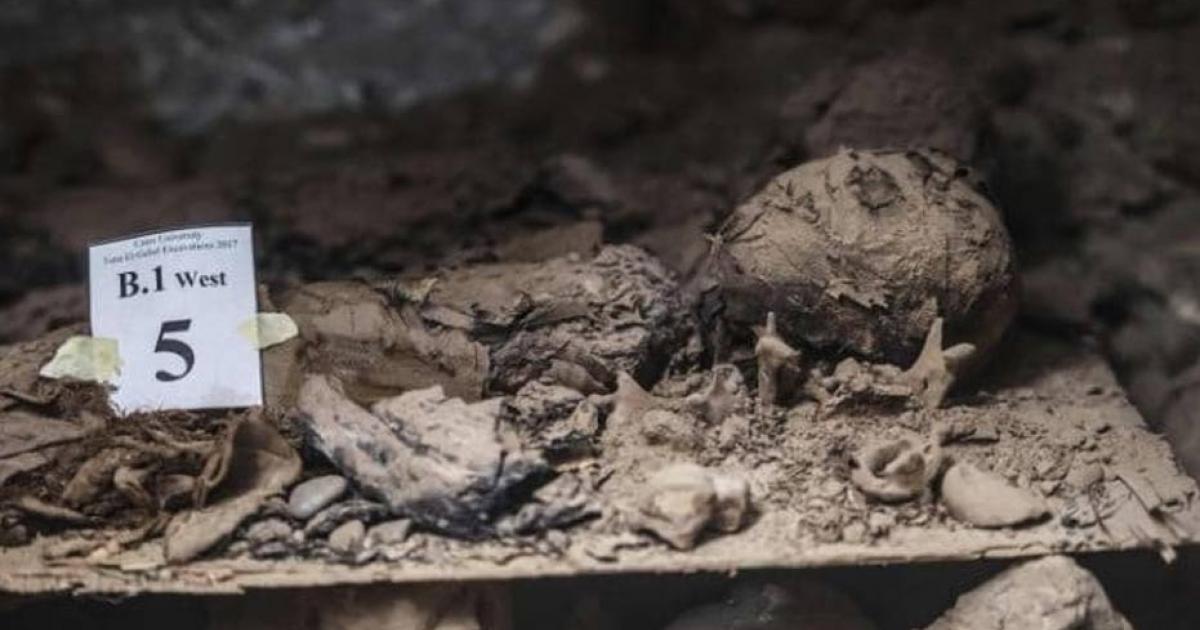 One of the newly-discovered mummies - Egypt