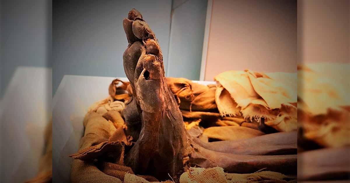 Foot of an Egyptian mummy in the British Museum. Source: Ibex73/CC BY-SA 4.0