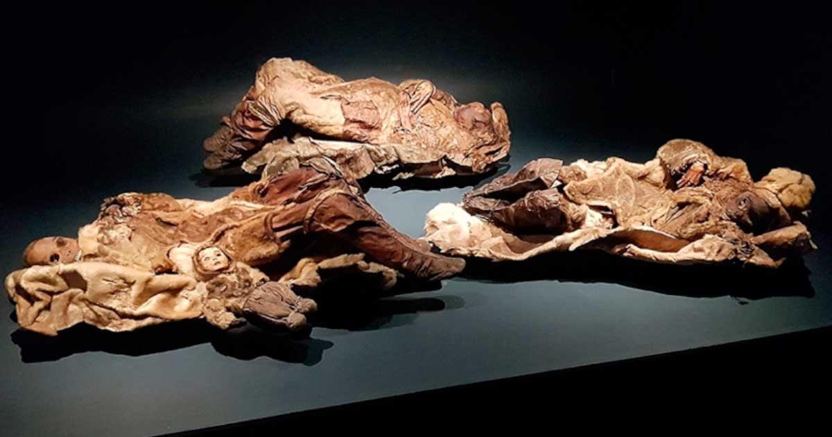 The Mummies of Qilakitsoq at the National Museum in Nuuk. Source: Kenny McFly / CC BY-SA 4.0