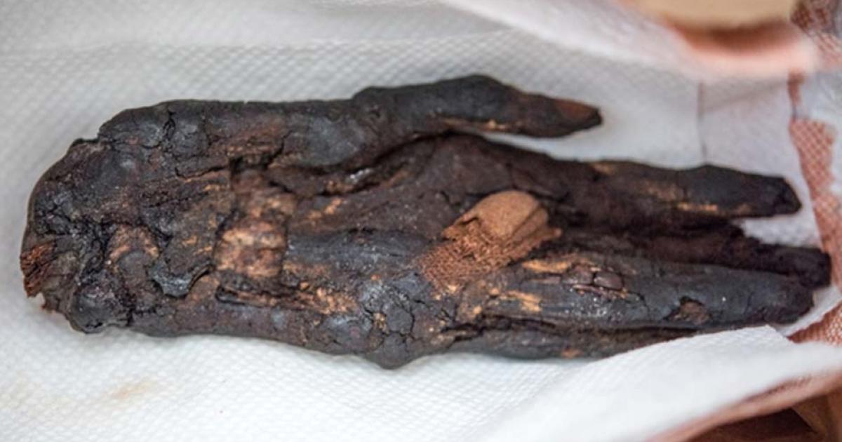 Operation Mummy's Curse Repatriates 2,800-Year-Old Mummified Hand That Had Been Used as Hollywood Prop