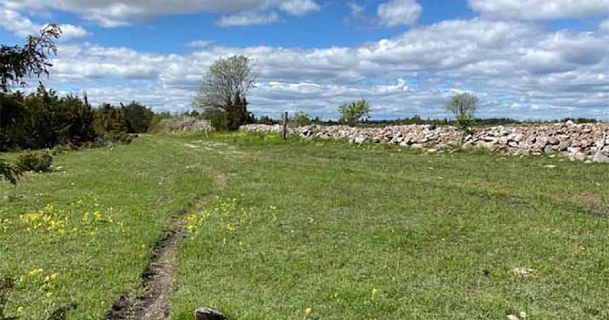 Lost Swedish Mythical Castle Found In Dry Lake By Clever Archaeologist