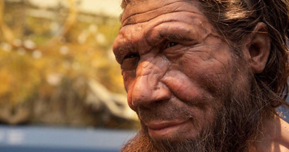 Neanderthal Reconstruction