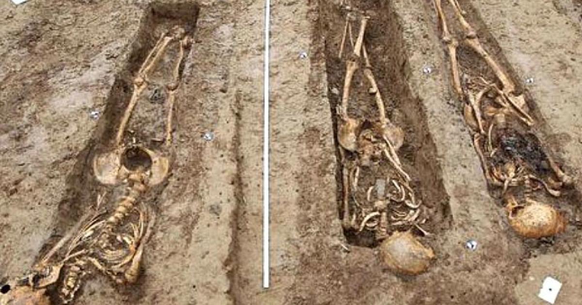 The remains of soldiers from Napoleon's army