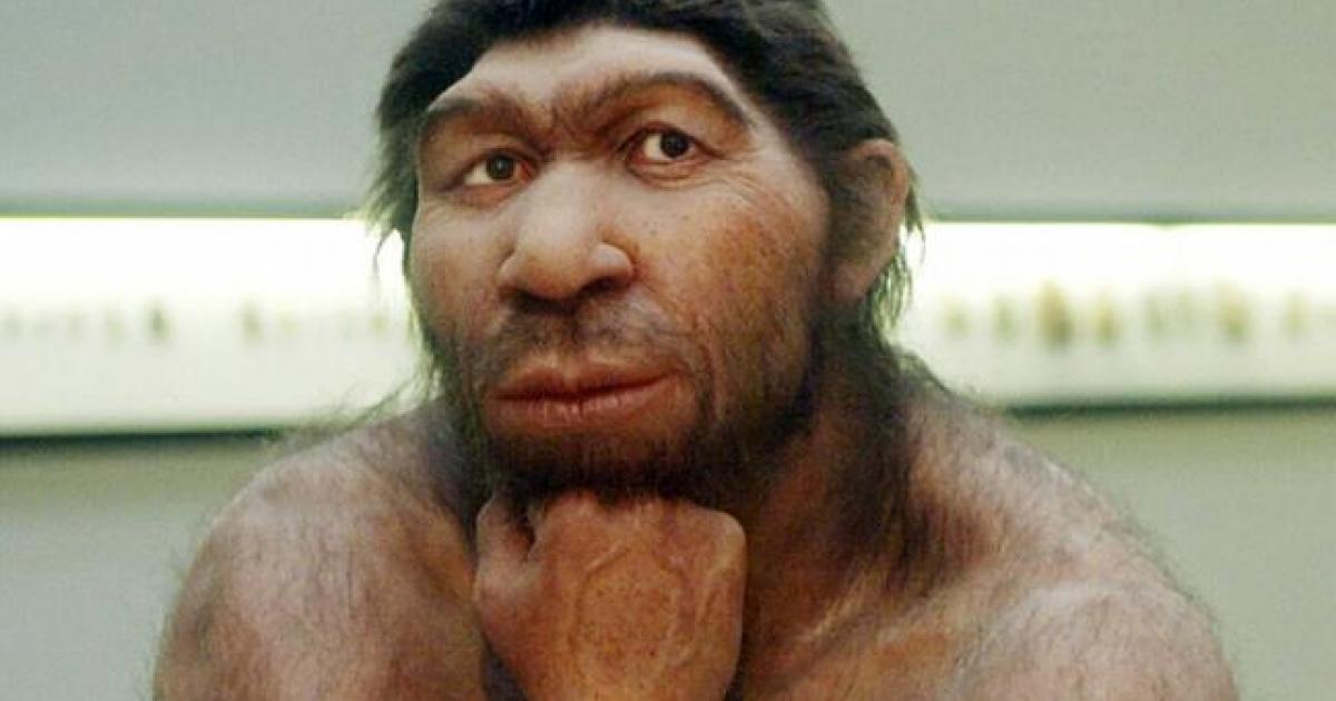 Neaderthal genetic map