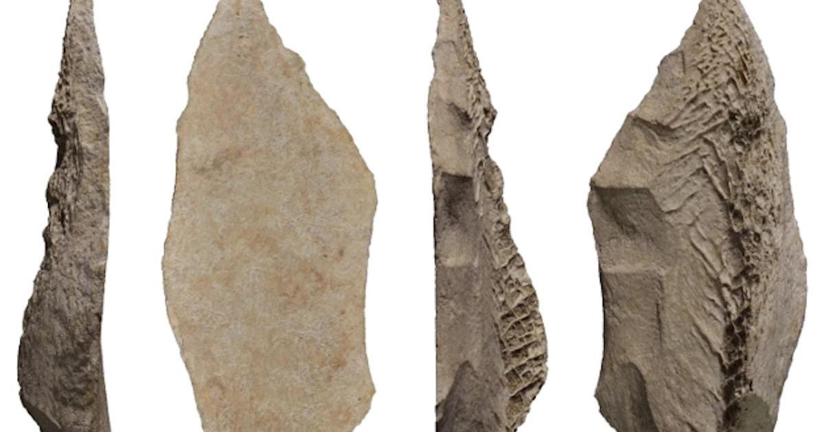 The Neanderthal bone spear point discovered at the Abric Romaní rock shelter in Spain.