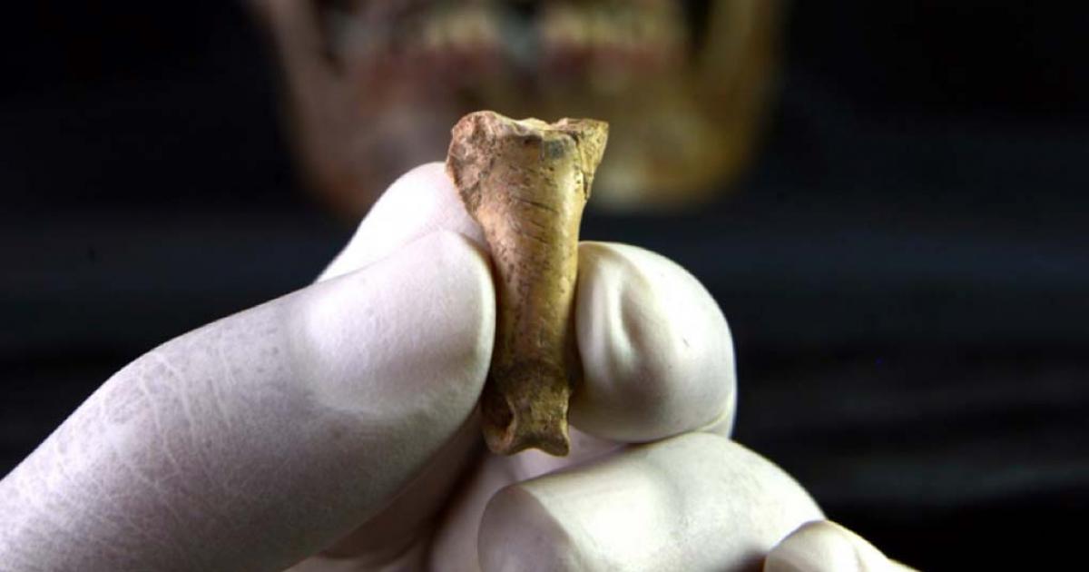 The ‘Last Neanderthal Necklace’ Has Been Found In Spain