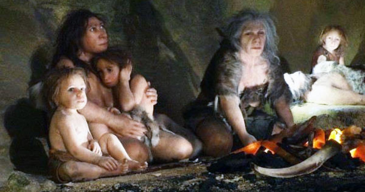 Neanderthals organised 