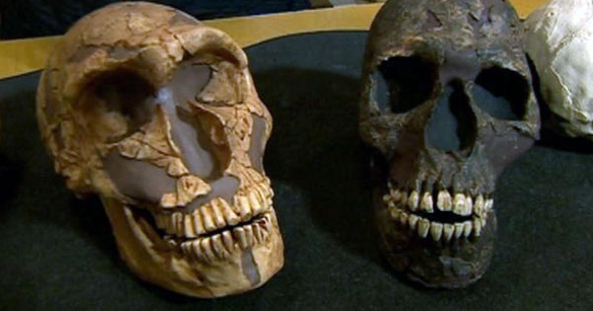 Neanderthals Big Eyes