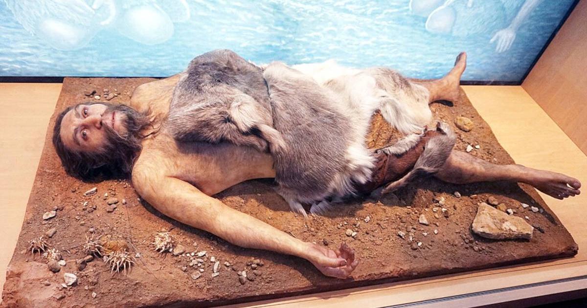 Neanderthal display at the National Museum of Natural Sciences in Madrid. 