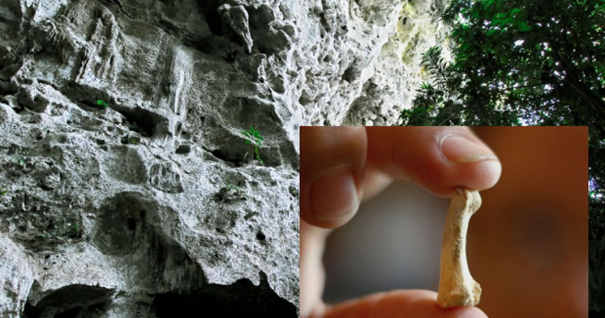 Penablanca, Cagayan Province, Philippines, near the entrance to the limestone Callao Cave where there is evidence of a new human species. Source: Michael / Adobe. Inset: A foot bone from Homo luzonensis. (Xinhua/Rouelle Umali)
