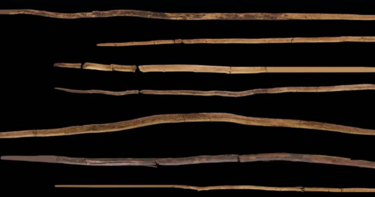 Schöningen wooden spears, dated to 200,000 years ago