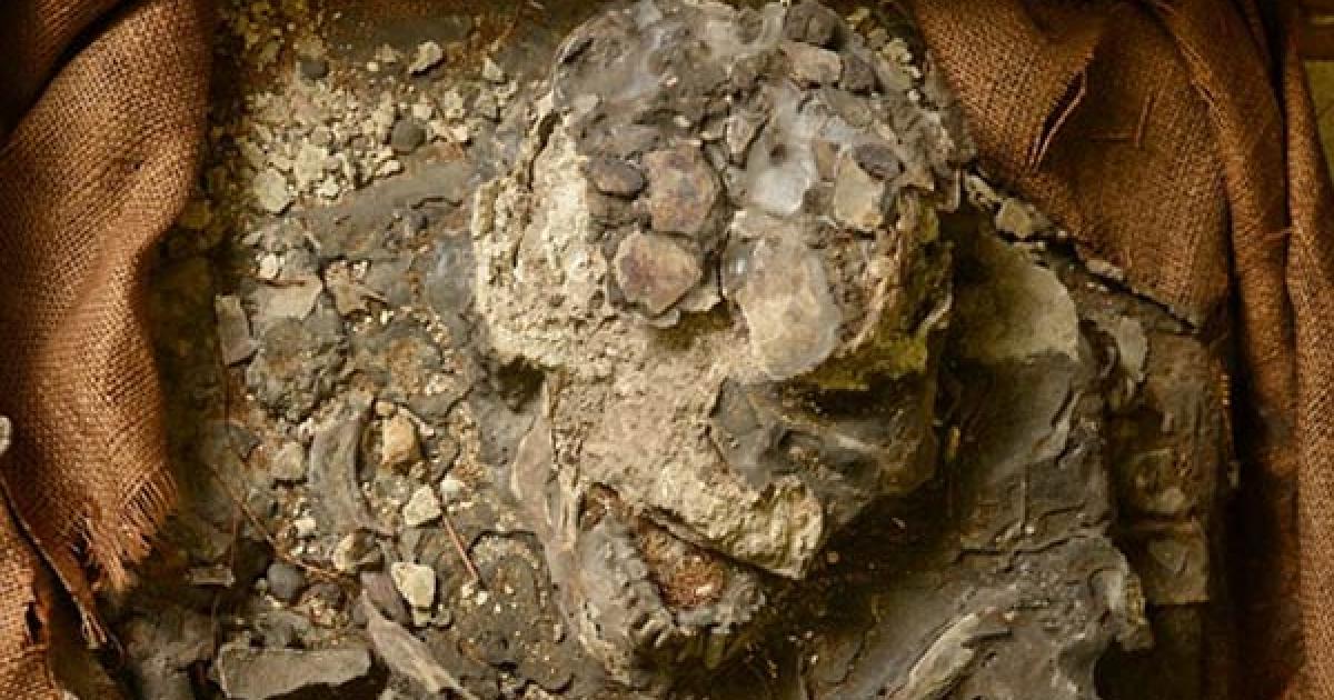 ‘Noah’, a 6,500-year-old skeleton