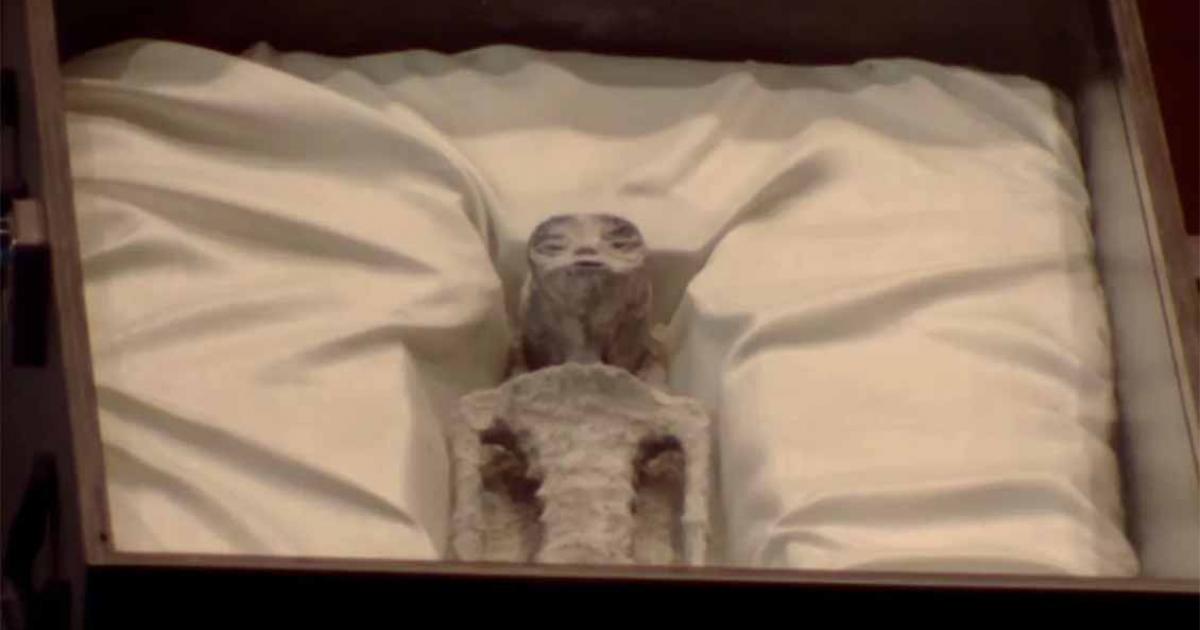 The non-human body presented at the Congress of Mexico     Source: Camara de Diputados/Congress de Mexico