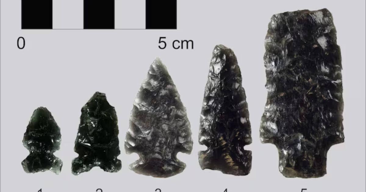 Samples of obsidian arrowheads that have been found at archaeological sites in Alberta.
