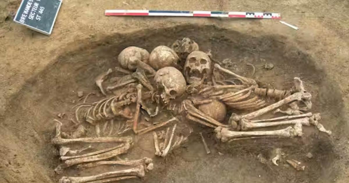The collective tomb at Bréviandes les Pointes, near Troyes, where all the skeletons have had their genomes sequenced.