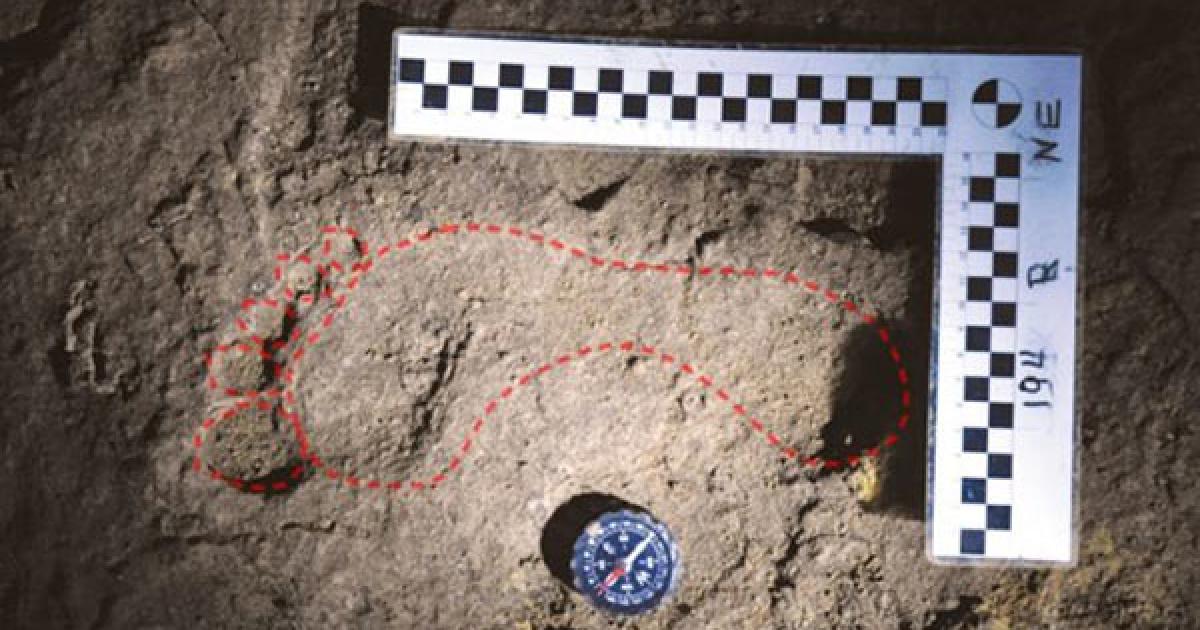 Scientists confirm oldest European human footprints in Romanian cave ...