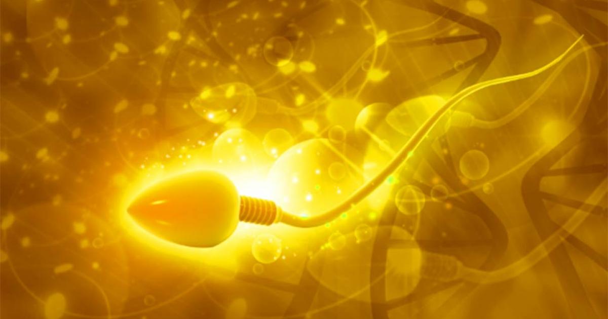 Scientists have found the world’s oldest sperm cells. Source: bluebay2014 /Adobe Stock