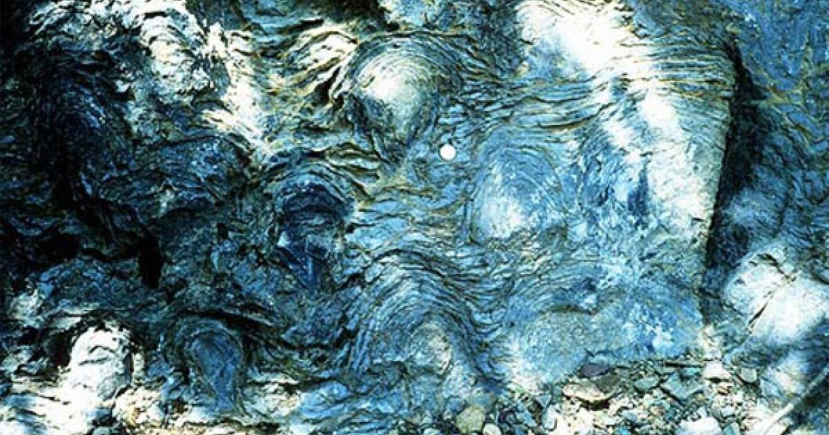 Origins of Life Challenged