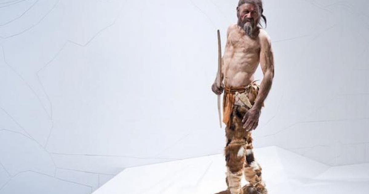 Otzi reconstructed