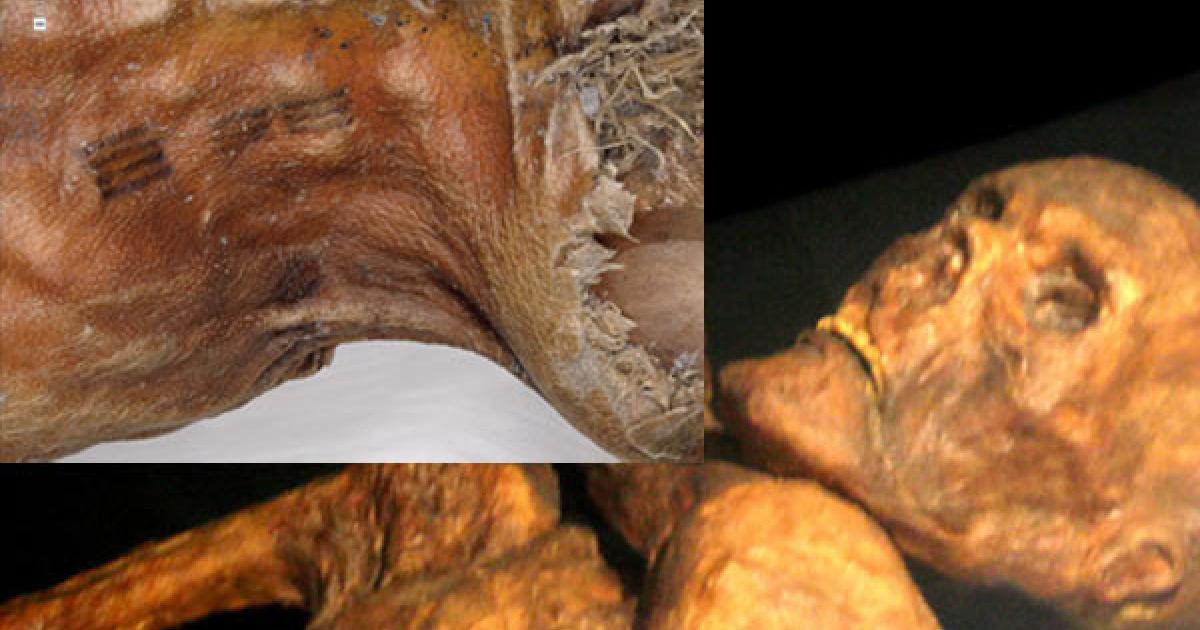 Otzi Tattoos