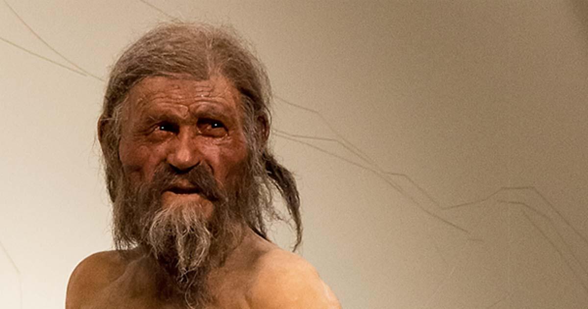 Naturalistic reconstruction of Ötzi - South Tyrol Museum of Archaeology.