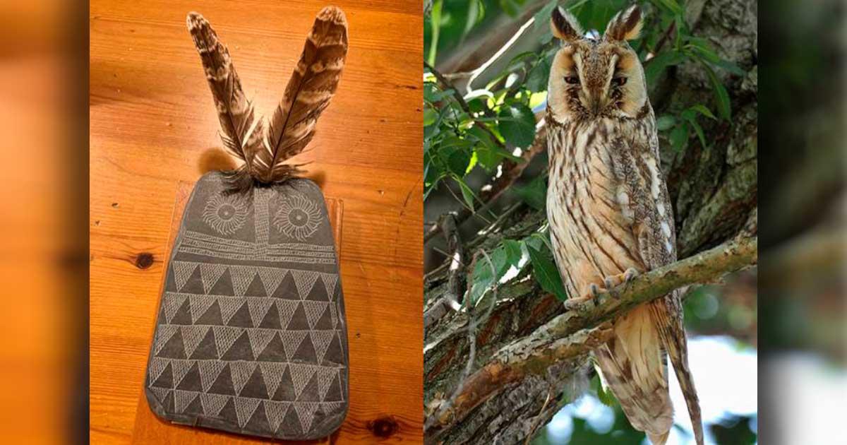 Composite image depicting the similitude between a replica of the Valencian slate owl plaque with inserted feathers (on the left) and the long-eared owl species which may have inspired numerous engraved owl plaques (on the right). Source: Juan J. Negro / CC BY 4.0