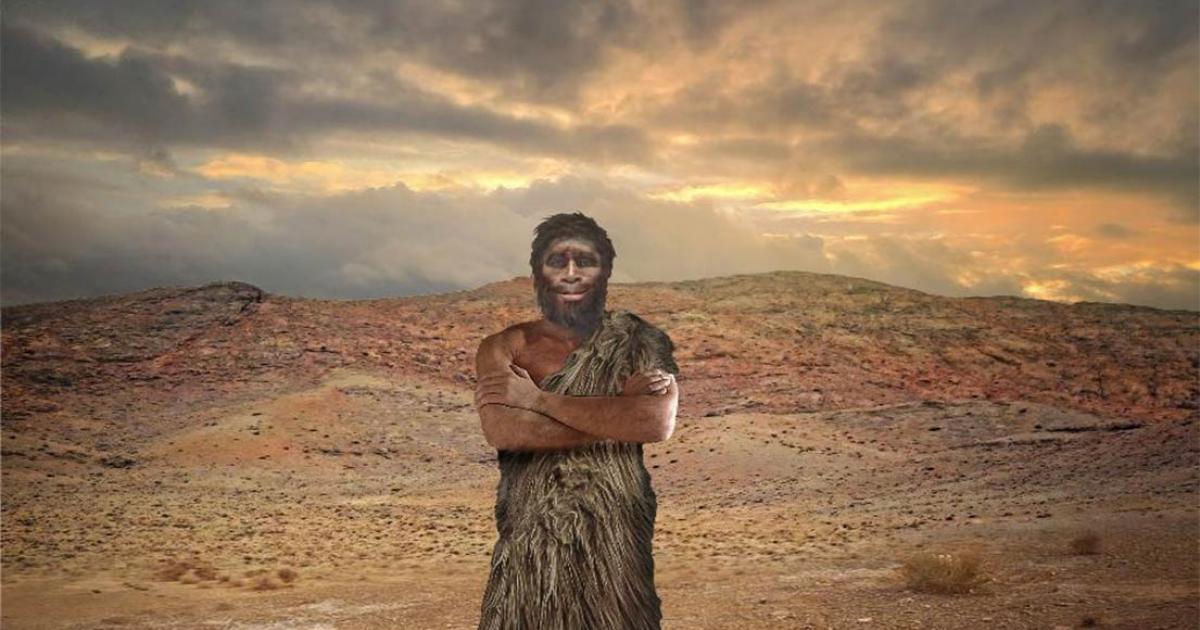 Several past human species went extinct due to climate change. Source: regis allouet /Adobe Stock