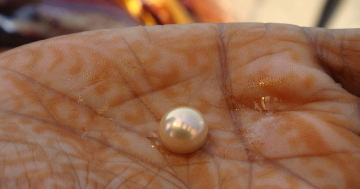 The world’s oldest pearl has been discovered at Marawah Island, United Arab Emirates. Source: Arundhati Chaudhuri / CC BY-SA 2.0.