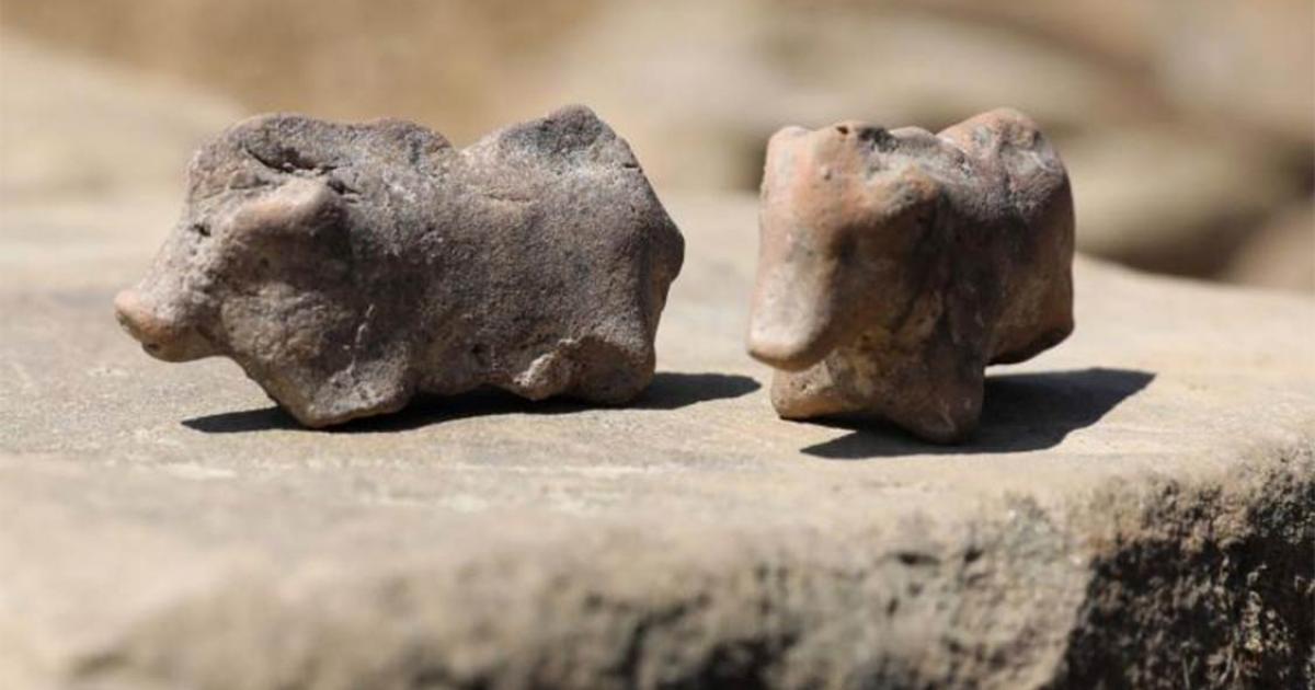 Ancient pig figurines found in Polant Credit: PAP / Grzegorz Momot