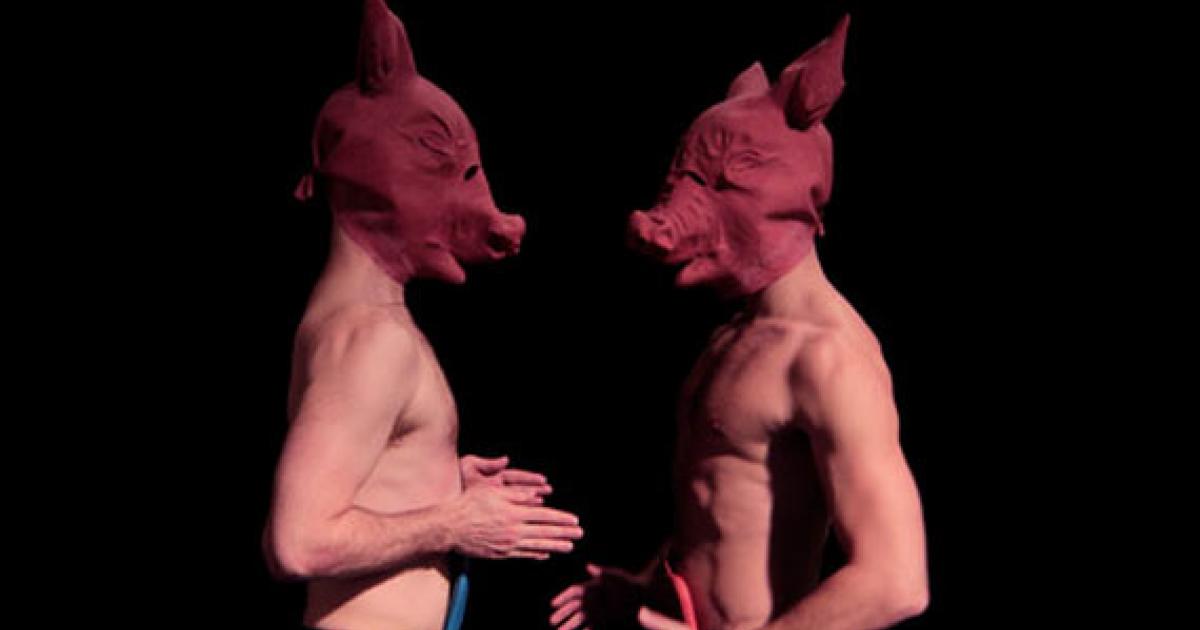 Pig Chimpanzees Hybrids = Humans