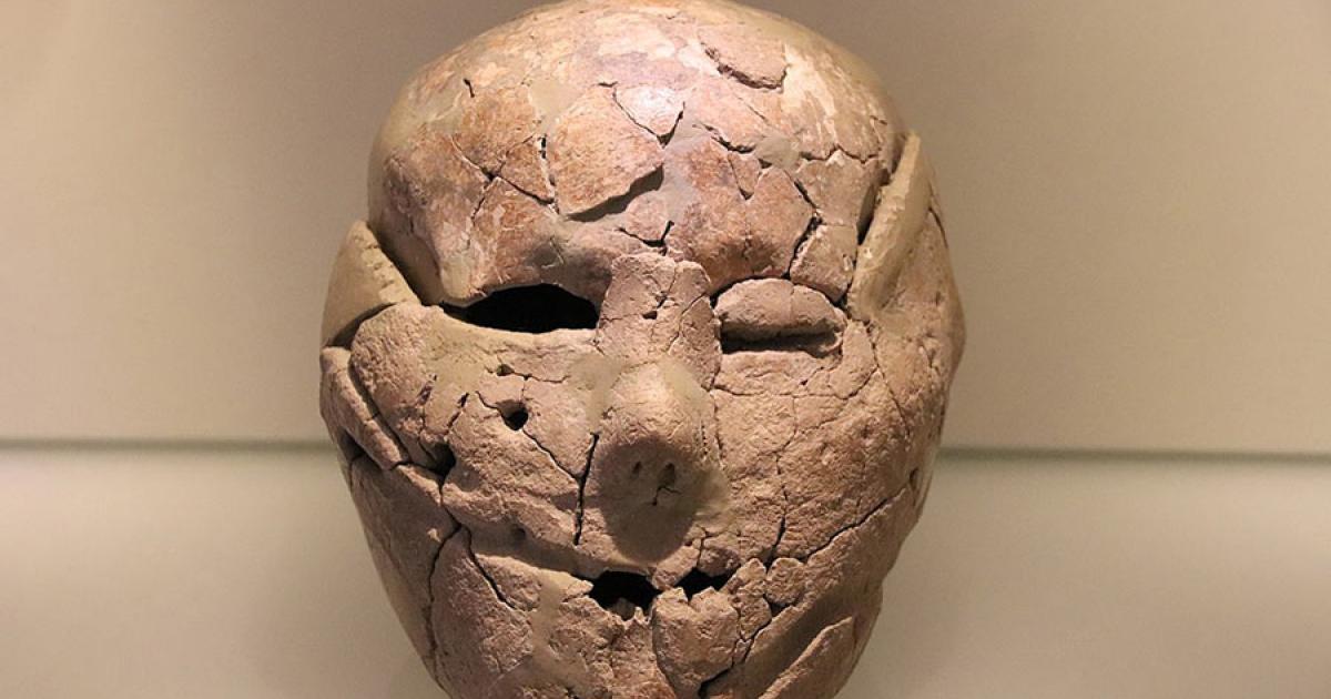 Plastered skull, c. 9000 BC, found at Kfar HaHoresh in northern Israel and now at the Israel Museum in Jerusalem. Source: Gary Todd / CC0