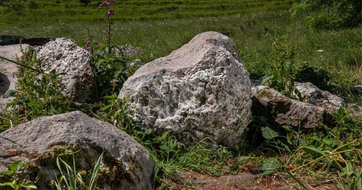 The rare Neolithic polishing stone which was discovered in Dorset. Source: Historic England