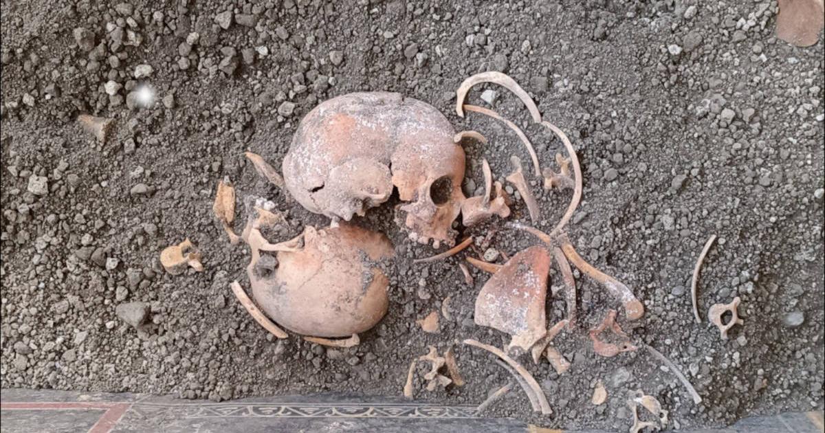 Skeleton of a child, one of four skeletons found during excavations at the House of Elle and Frisso in Pompeii.