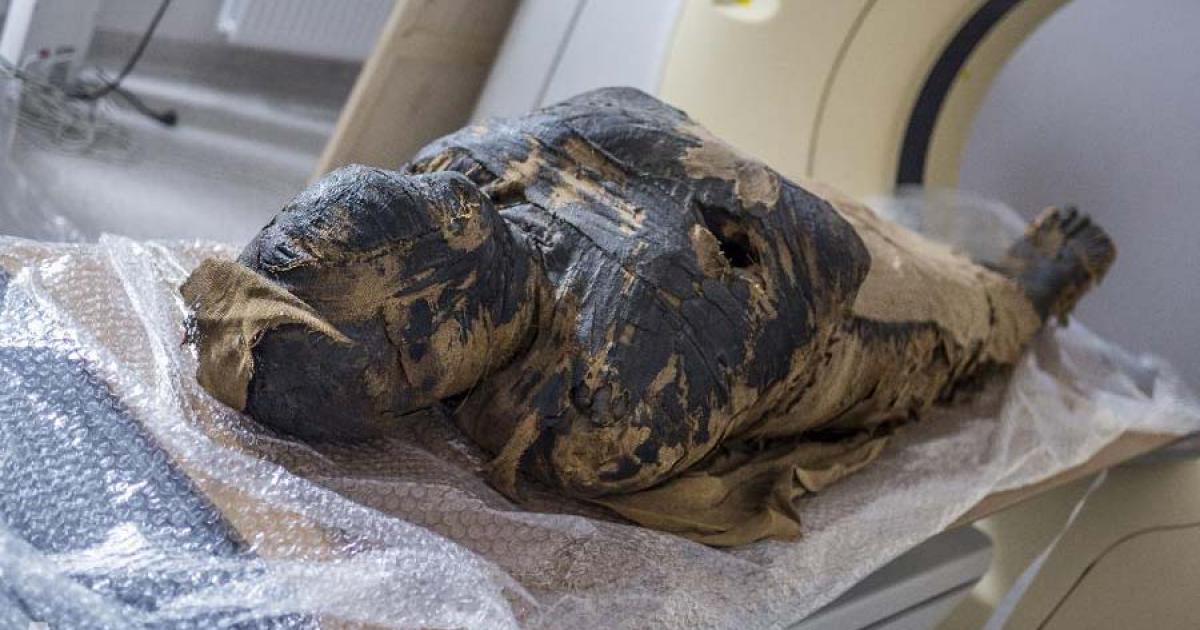 X-ray and CT scans of the mummified body show that the woman died when she was between 20-30 years old. (O. Leydo)
