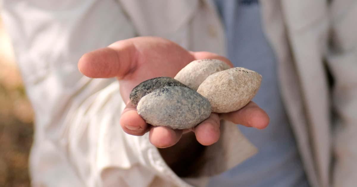 Prehistoric slingstones used for warfare 7200 years ago in Israel. Source: Emil Aladjem/Israel Antiquities Authority