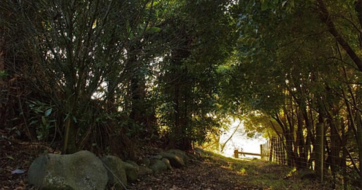 Mass Manipulation & Propaganda