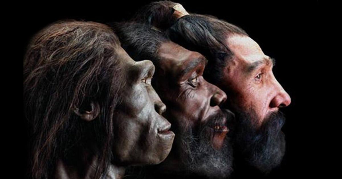 Image of reconstructed faces of three early humans in profile view. 