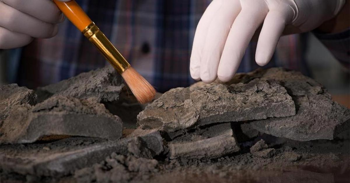 Radiocarbon dating needs fine-tuning if scientists and archaeologists want a more accurate historical timeline. Source: Elnur /Adobe Stock