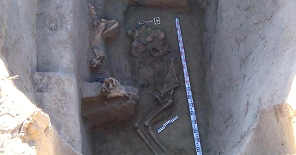 The remains of a Scythian warrior king and his horse. 