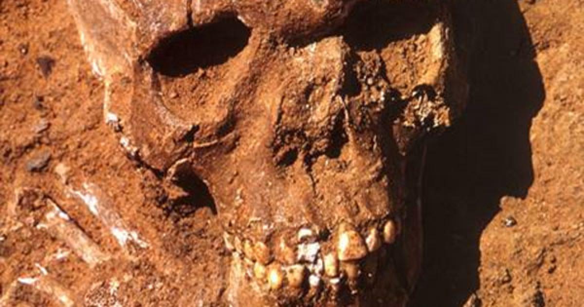 13,000-year-old Saharan remains
