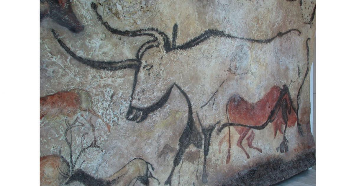A replica of a painting of an aurochs in Lascaux cave in France. Scientists have estimated these paintings may be 20,000 years old.