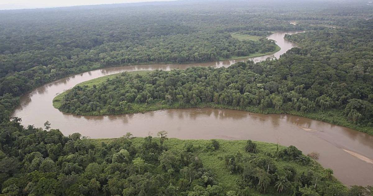 Section of largely unexplored central African rainforest intersected by the Kivu River.