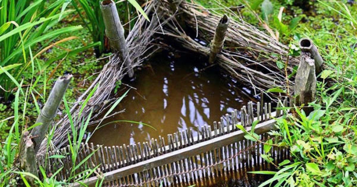 Ancient Eco Practices