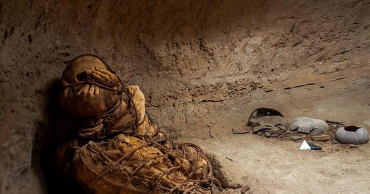 The 800-year-old Peruvian rope-bound mummy in the fetal position as it was found.		Source: UNMSM