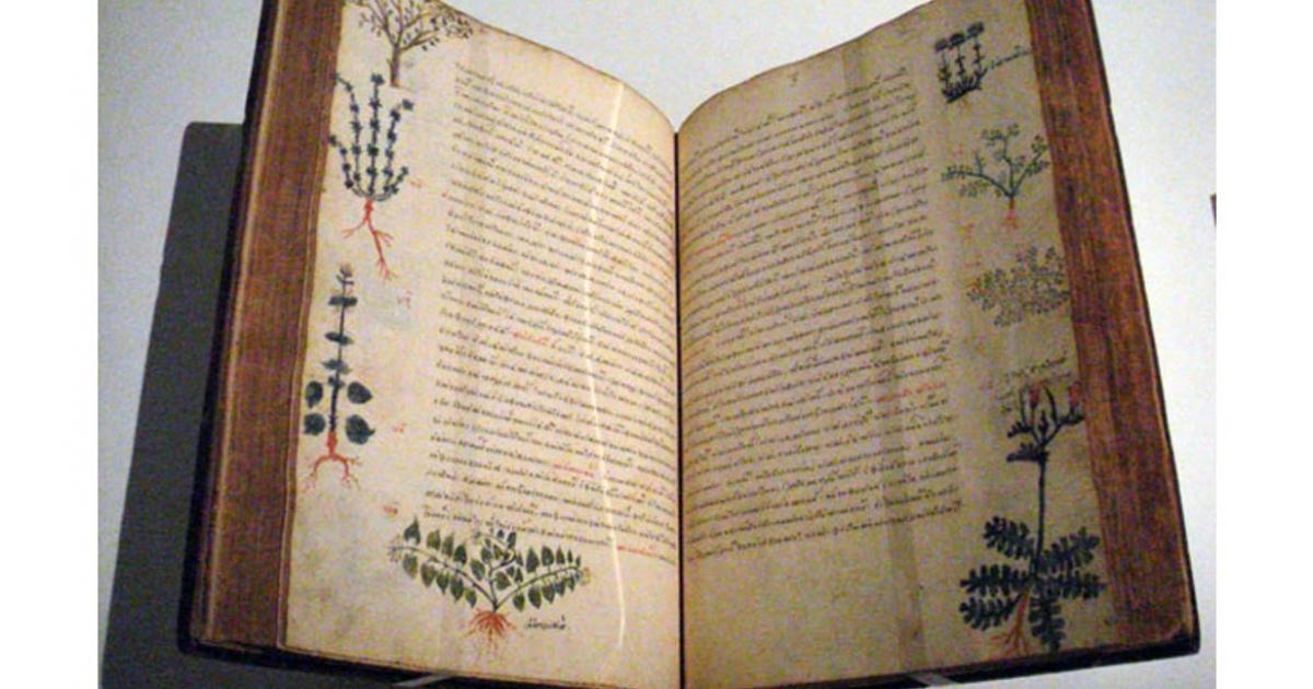 De Materia Medica remedies book