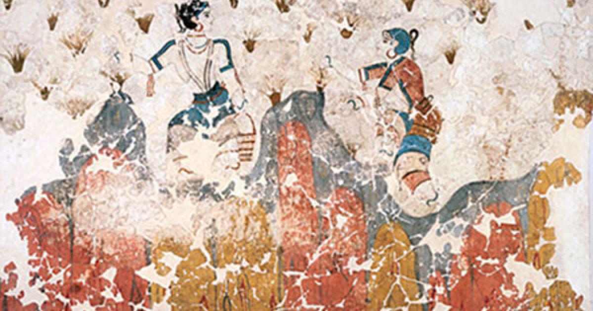 Saffron crocus flowers - Minoan fresco 