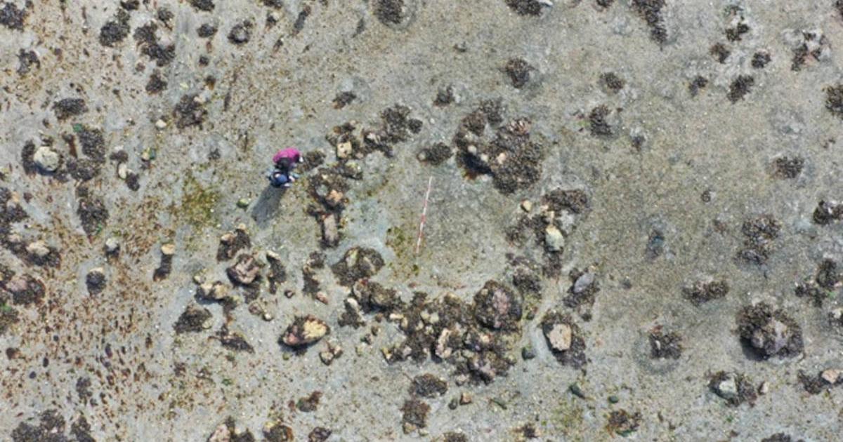 Ancient circular stone alignment found at Sconser on Isle of Skye.
