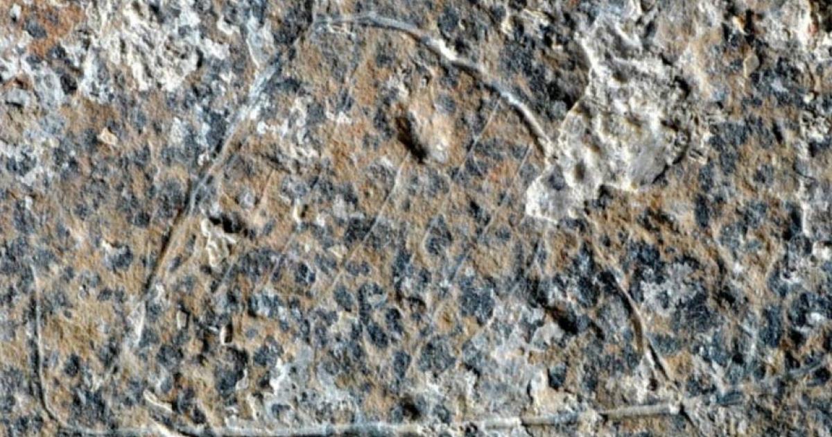 Detail of one of the semicircular engravings recently discovered and interpreted as a hut.